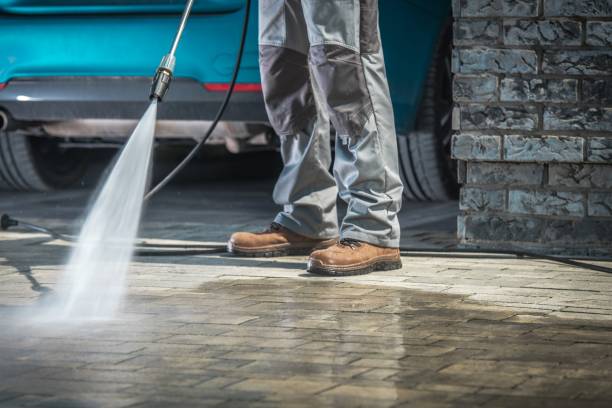 Best Roof Washing  in Kingsville, TX